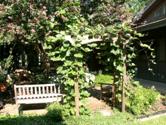 grounds pic.JPG